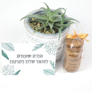 מתנה לגננת