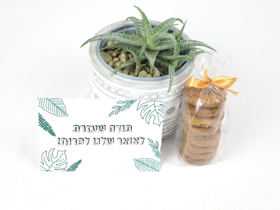 מתנה לגננת